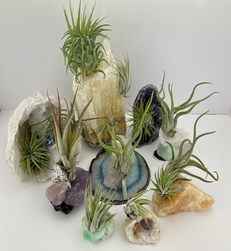 Various plants growing from different gemstones.